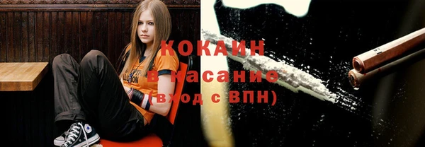 прущий лед Алзамай