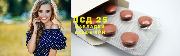 прущий лед Алзамай