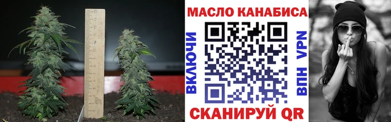 omg tor  Самара  дарк нет телеграм  ТГК концентрат 